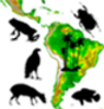 Network for Neotropical Biogeography